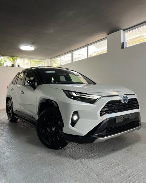 New 2024 Toyota RAV4 Hybrid E-motion Sky